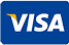 visa-payment-card1873